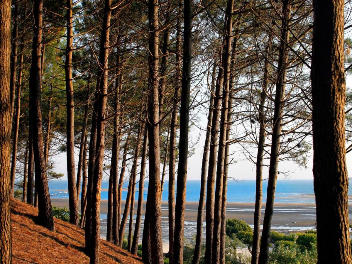 Maison Moderne Pres Plage Aiguillon - 2 Chambres, Terrasse, Jardin, Parking - Calme Et Confort - Fr-1-420-63 Arcachon Exterior photo